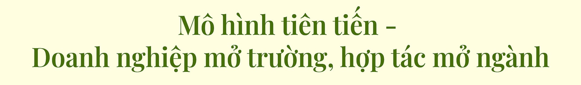Mô hình tiên tiến - Doanh nghiệp mở trường, hợp tác mở ngành