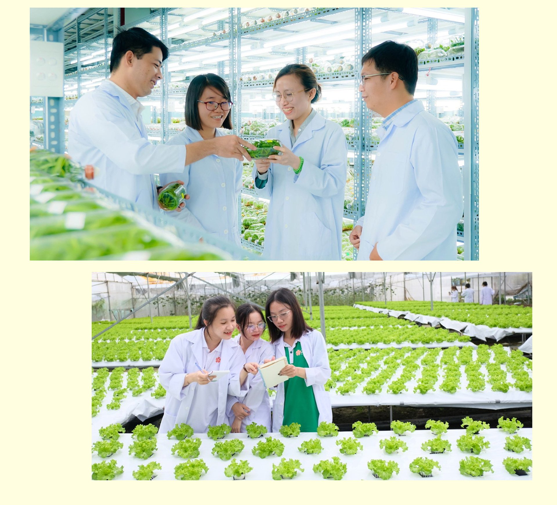 Trường trong Farm - Farm trong trường