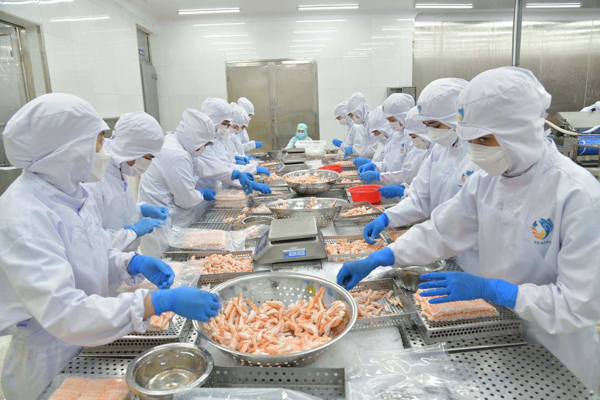Giai đoạn 1980 - 1990, kim ngạch xuất khẩu thủy sản tăng trung bình 48,29%/năm. Ảnh: Hồng Thắm. Giai đoạn 1980 - 1990, kim ngạch xuất khẩu thủy sản tăng trung bình 48,29%/năm. Ảnh: Hồng Thắm.