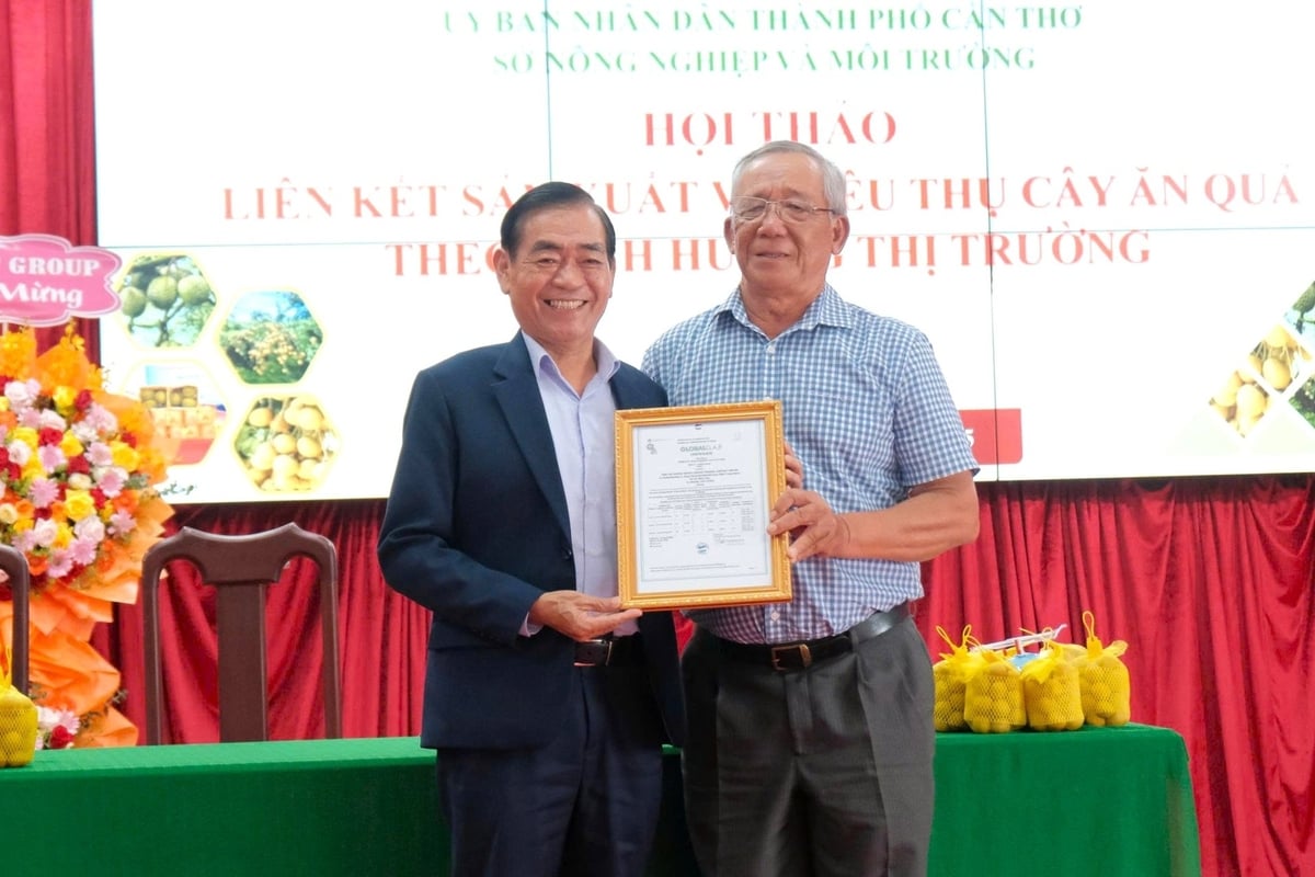 Đại diện Công ty Vina T&T trao chứng nhận GlobalGAP cho vùng trồng thanh nhãn của HTX Trạng Tí Garden. Ảnh: Kim Anh. Đại diện Công ty Vina T&T trao chứng nhận GlobalGAP cho vùng trồng thanh nhãn của HTX Trạng Tí Garden. Ảnh: Kim Anh.