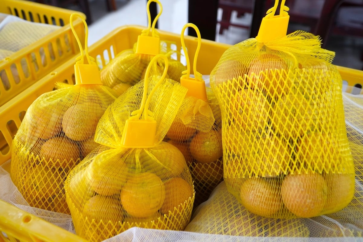 Thanh nhãn là một trong những mặt hàng có thế mạnh xuất khẩu của TP Cần Thơ. Ảnh: Kim Anh. Thanh nhãn là một trong những mặt hàng có thế mạnh xuất khẩu của TP Cần Thơ. Ảnh: Kim Anh.
