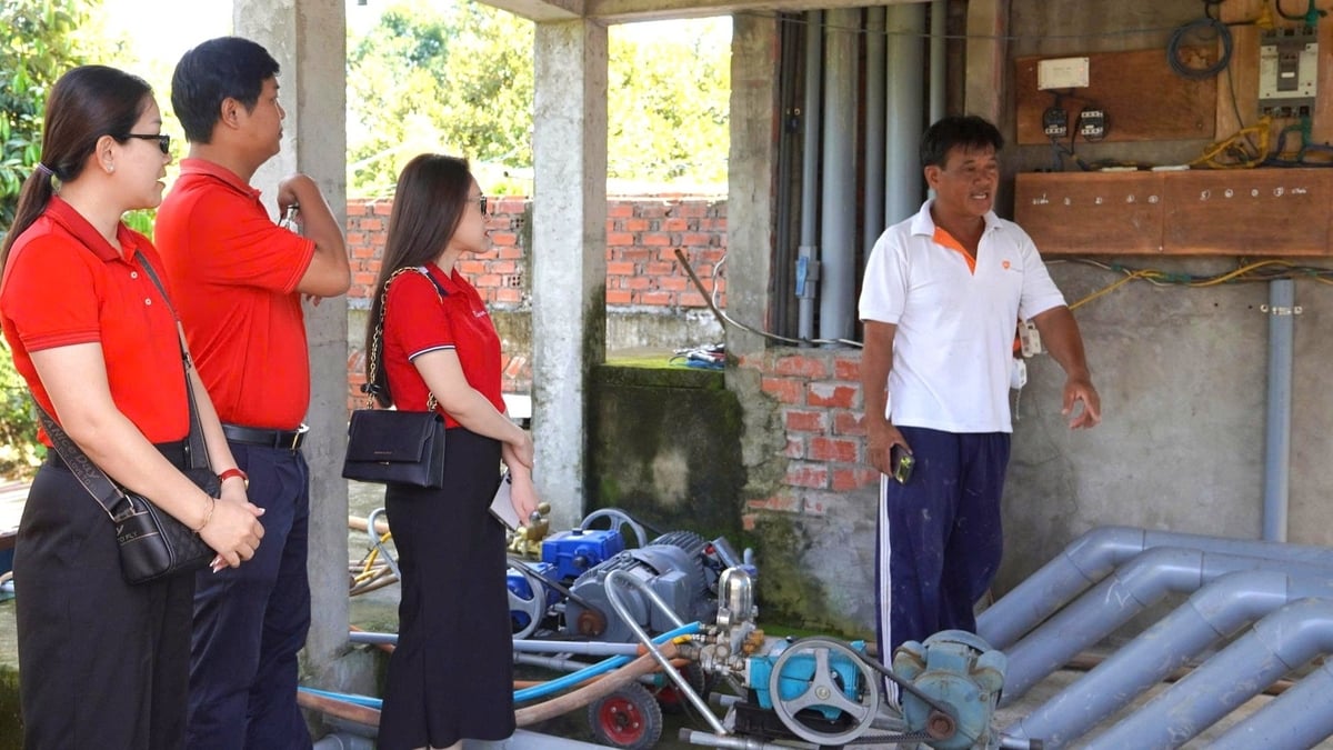 Anh Hà Minh Tuấn giới thiệu mô hình nông nghiệp công nghệ cao của gia đình. Ảnh: Minh Khương. Anh Hà Minh Tuấn giới thiệu mô hình nông nghiệp công nghệ cao của gia đình. Ảnh: Minh Khương.