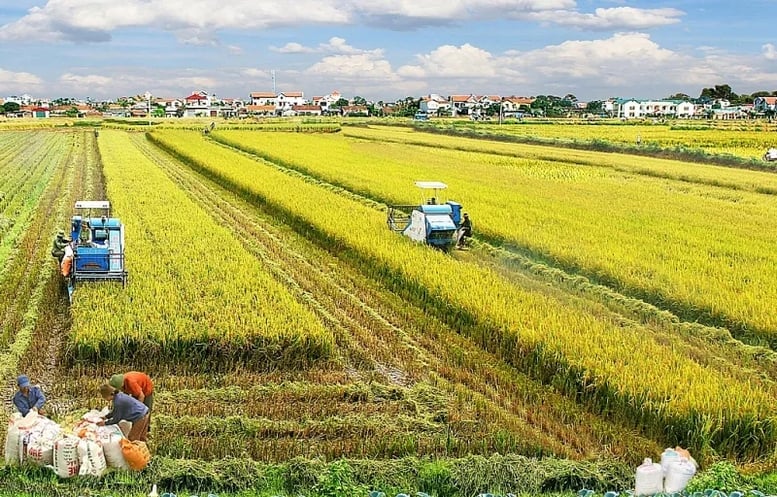 Tương lai, quản lý và sử dụng đất đai phải hướng tới nâng cao hiệu quả, giá trị gia tăng; thúc đẩy tích tụ, tập trung ruộng đất; bảo vệ đất đai bền vững trước nguy cơ thoái hóa; đồng thời tạo động lực mới cho phát triển nông nghiệp công nghệ cao, nông nghiệp xanh, tuần hoàn, thân thiện môi trường. Ảnh: Khánh Linh. Tương lai, quản lý và sử dụng đất đai phải hướng tới nâng cao hiệu quả, giá trị gia tăng; thúc đẩy tích tụ, tập trung ruộng đất; bảo vệ đất đai bền vững trước nguy cơ thoái hóa; đồng thời tạo động lực mới cho phát triển nông nghiệp công nghệ cao, nông nghiệp xanh, tuần hoàn, thân thiện môi trường. Ảnh: Khánh Linh.