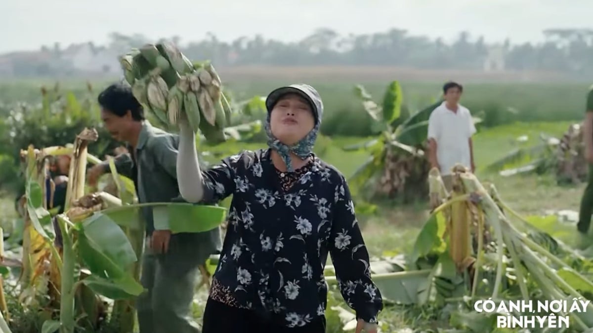 Xã Tiên Phong lại hỗn loạn khi hàng loạt buồng chuối bị phá hoại. Ảnh CMH Xã Tiên Phong lại hỗn loạn khi hàng loạt buồng chuối bị phá hoại. Ảnh CMH