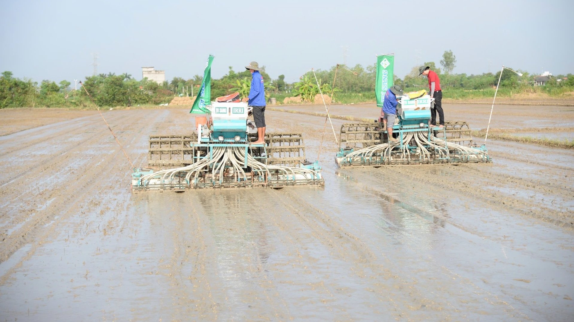 The World Bank's resources have supported Viet Nam in developing the national flagship program of one million hectares of high-quality, low-carbon rice. Photo: Minh Dam. 