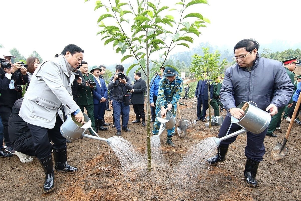 The annual tree planting festival has been preserved by generations of Party and State leaders. Photo: VGP.