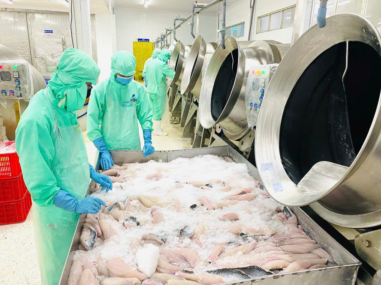 Tăng trưởng của ngành thủy sản không thể chỉ dựa vào sản lượng, mà phải dựa trên chất lượng, tính bền vững cũng như khả năng đáp ứng các chuẩn mực xanh toàn cầu. Ảnh: Hồng Thắm. Tăng trưởng của ngành thủy sản không thể chỉ dựa vào sản lượng, mà phải dựa trên chất lượng, tính bền vững cũng như khả năng đáp ứng các chuẩn mực xanh toàn cầu. Ảnh: Hồng Thắm.