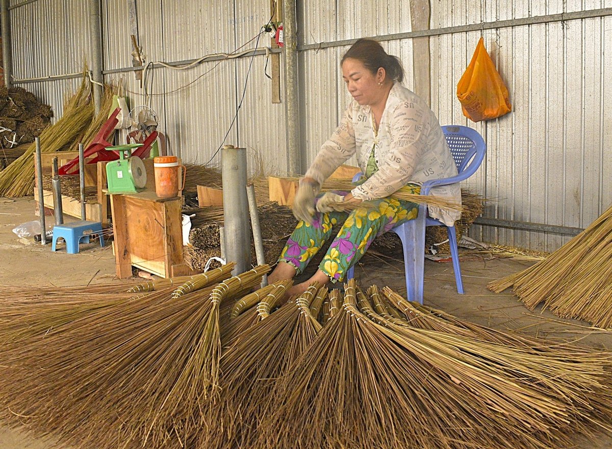 Chị Nguyễn Thị Lệ Thu bó trên 100 cây chổi mỗi ngày. Ảnh: Minh Đảm. Chị Nguyễn Thị Lệ Thu bó trên 100 cây chổi mỗi ngày. Ảnh: Minh Đảm.