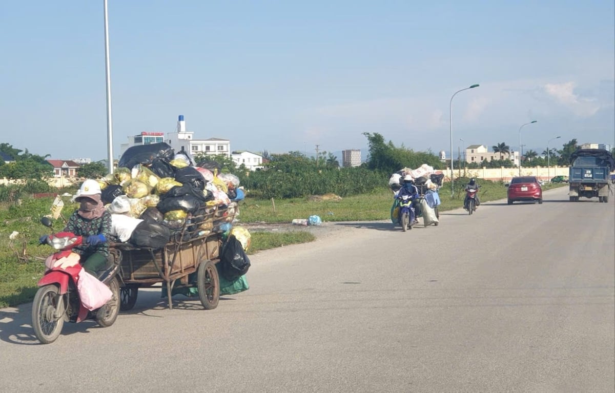 Lực lượng vệ sinh môi trường làm việc hết công suất sau cơn bão số 5 với nỗ lực làm sạch môi trường. Ảnh: Đình Tiệp. Lực lượng vệ sinh môi trường làm việc hết công suất sau cơn bão số 5 với nỗ lực làm sạch môi trường. Ảnh: Đình Tiệp.