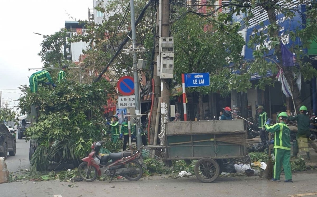 Công nhân vệ sinh môi trường dọn dẹp rác thải cây xanh. Ảnh: Đình Tiệp. Công nhân vệ sinh môi trường dọn dẹp rác thải cây xanh. Ảnh: Đình Tiệp.