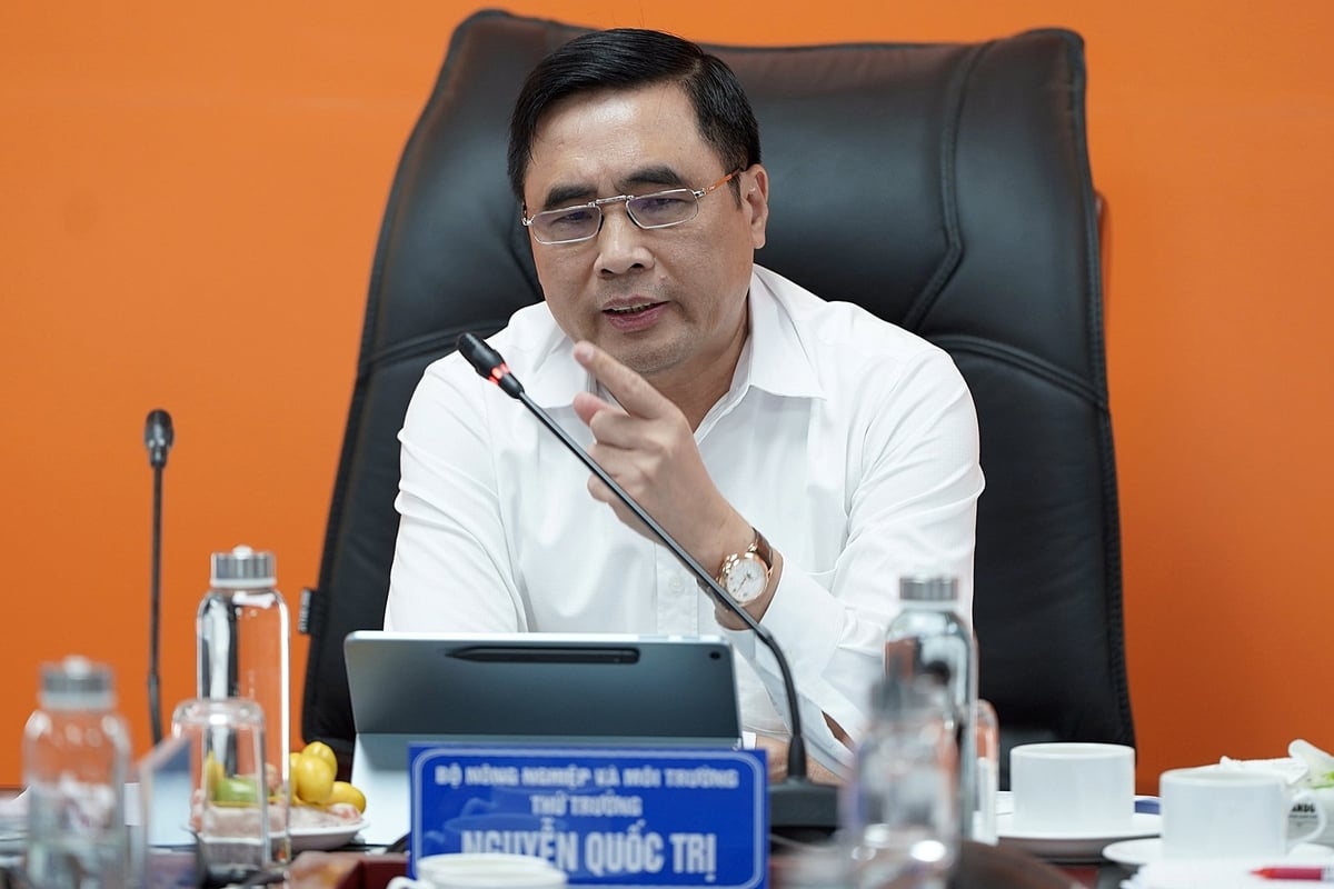 Thứ trưởng Nguyễn Quốc Trị: Tập trung 3 mục tiêu, gồm tỷ lệ che phủ, tốc độ tăng trưởng và giá trị xuất khẩu. Ảnh: Bảo Thắng. Thứ trưởng Nguyễn Quốc Trị: Tập trung 3 mục tiêu, gồm tỷ lệ che phủ, tốc độ tăng trưởng và giá trị xuất khẩu. Ảnh: Bảo Thắng.