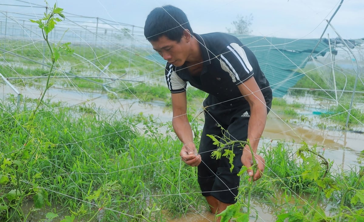 Anh Phan Sài Phủ kiểm tra sau khi bão đi qua. Ảnh: Ngọc Linh.