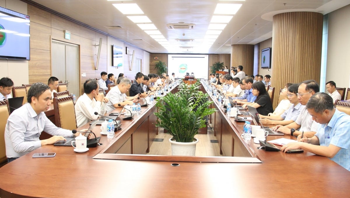 Các báo cáo viên đã giải đáp những câu hỏi của các đơn vị thuộc TKV về một số quy định của Nghị định 193. Ảnh: Mai Đan. Các báo cáo viên đã giải đáp những câu hỏi của các đơn vị thuộc TKV về một số quy định của Nghị định 193. Ảnh: Mai Đan.