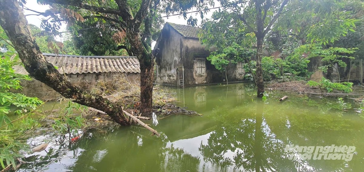 Cả thôn Nhân Phẩm, xã Yên Mạc, tỉnh Ninh Bình vẫn 'tĩnh lặng' trong dòng nước sông Bút dâng cao. Ảnh: Xuân Hào. Cả thôn Nhân Phẩm, xã Yên Mạc, tỉnh Ninh Bình vẫn 'tĩnh lặng' trong dòng nước sông Bút dâng cao. Ảnh: Xuân Hào.