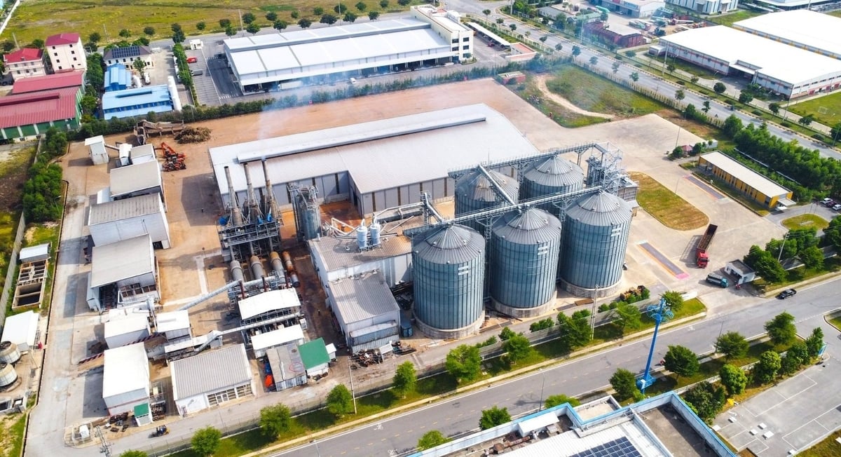 Nhà máy sản xuất viên nén gỗ Biomas Fuel Việt Nam tại KCN VSIP Nghệ An. Ảnh: Thành Cường. Nhà máy sản xuất viên nén gỗ Biomas Fuel Việt Nam tại KCN VSIP Nghệ An. Ảnh: Thành Cường.