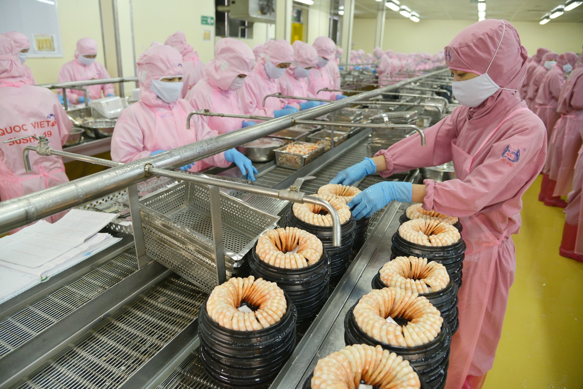 Hằng năm, con tôm đóng góp khoảng 40-45% tổng giá trị xuất khẩu thủy sản, tương đương 3,5-4 tỷ USD. Ảnh: Hồng Thắm. Hằng năm, con tôm đóng góp khoảng 40-45% tổng giá trị xuất khẩu thủy sản, tương đương 3,5-4 tỷ USD. Ảnh: Hồng Thắm.