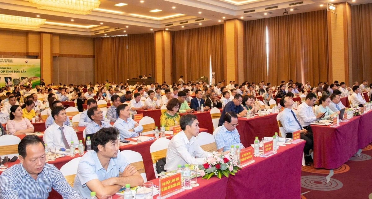 Hội nghị nhằm tổng hợp ý kiến để xây dựng phương hướng hoạt động khuyến nông đáp ứng được yêu cầu trong tình hình mới. Ảnh: Trần Thọ. Hội nghị nhằm tổng hợp ý kiến để xây dựng phương hướng hoạt động khuyến nông đáp ứng được yêu cầu trong tình hình mới. Ảnh: Trần Thọ.