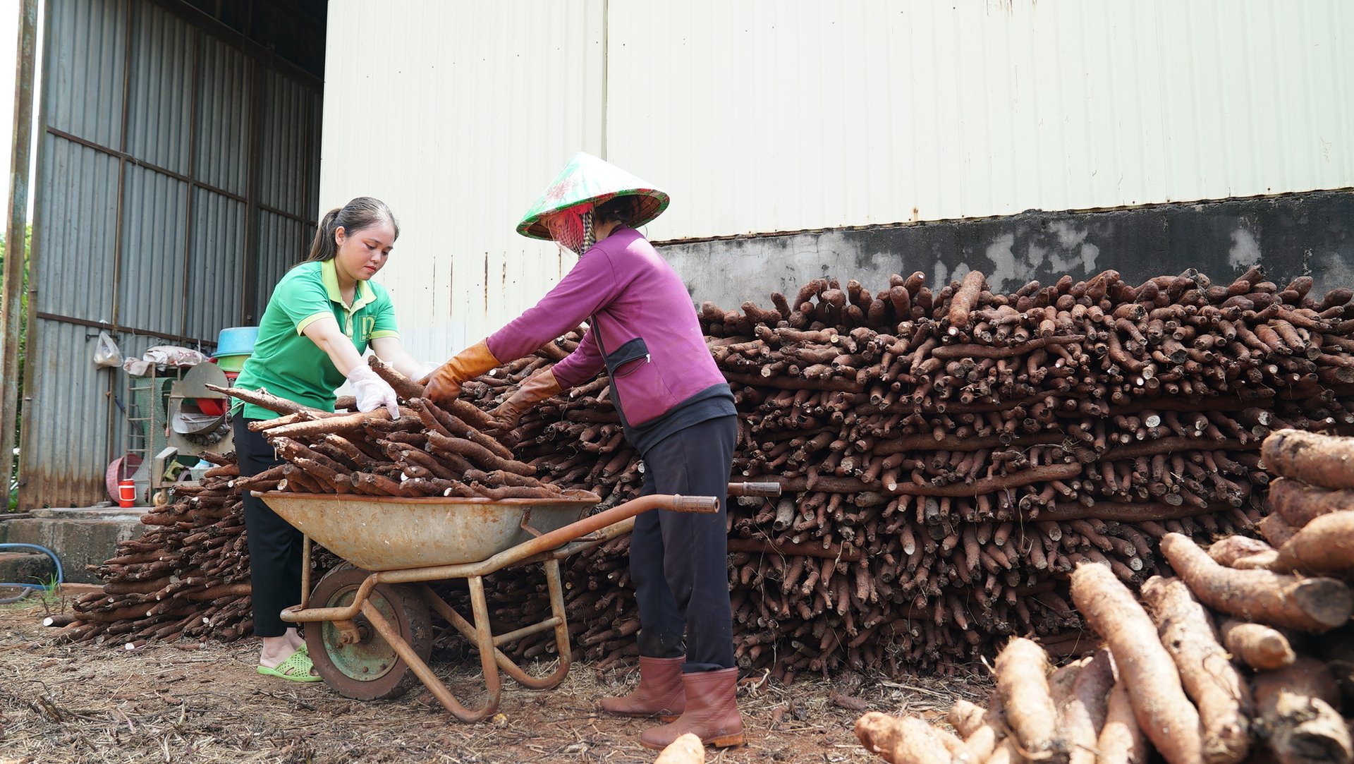 Các sản phẩm OCOP nâng giá trị của nông sản trong vùng. Ảnh: Tiến Đoàn.