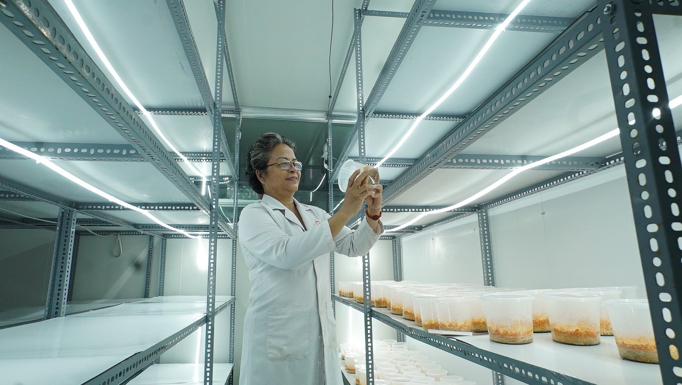 TP.HCM nổi bật với nhóm sản phẩm ứng dụng khoa học – công nghệ, tạo giá trị gia tăng cao, như trà hoa đông trùng hạ thảo. Ảnh: Tiến Đoàn. 