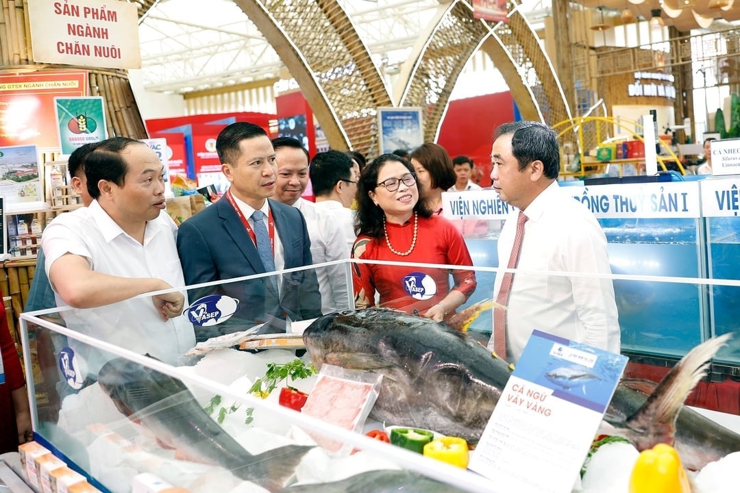 Quyền Bộ trưởng Bộ Nông nghiệp và Môi trường Trần Đức Thắng tham quan gian hàng lĩnh vực thủy sản tại Triển lãm thành tựu đất nước '80 năm hành trình Độc lập - Tự do - Hạnh phúc' sáng 28/8. Ảnh: Khương Trung. Quyền Bộ trưởng Bộ Nông nghiệp và Môi trường Trần Đức Thắng tham quan gian hàng lĩnh vực thủy sản tại Triển lãm thành tựu đất nước '80 năm hành trình Độc lập - Tự do - Hạnh phúc' sáng 28/8. Ảnh: Khương Trung.