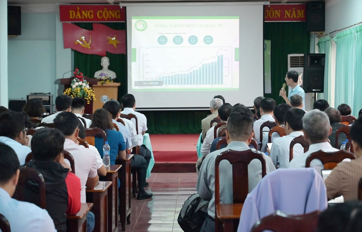ThS Bùi Khánh Tùng (Trung tâm hỗ trợ phát triển Nông nghiệp hữu cơ - Hiệp hội Nông nghiệp hữu cơ Việt Nam) trình bày tham luận 'Nông nghiệp hữu cơ Việt Nam – cơ hội và thách thức'. Ảnh: Phạm Hoài.