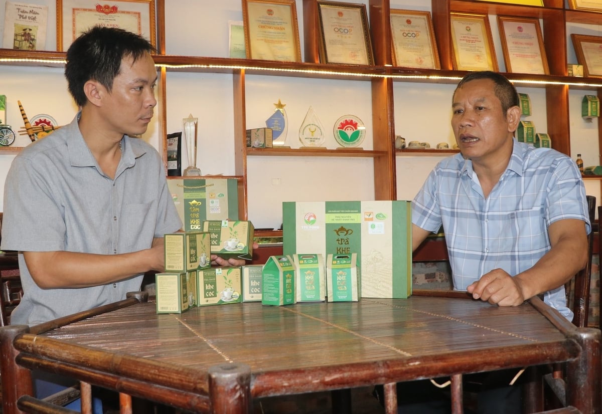 Sản phẩm chè của Hợp tác xã chè an toàn Khe Cốc. Ảnh: Quang Linh. Sản phẩm chè của Hợp tác xã chè an toàn Khe Cốc. Ảnh: Quang Linh.