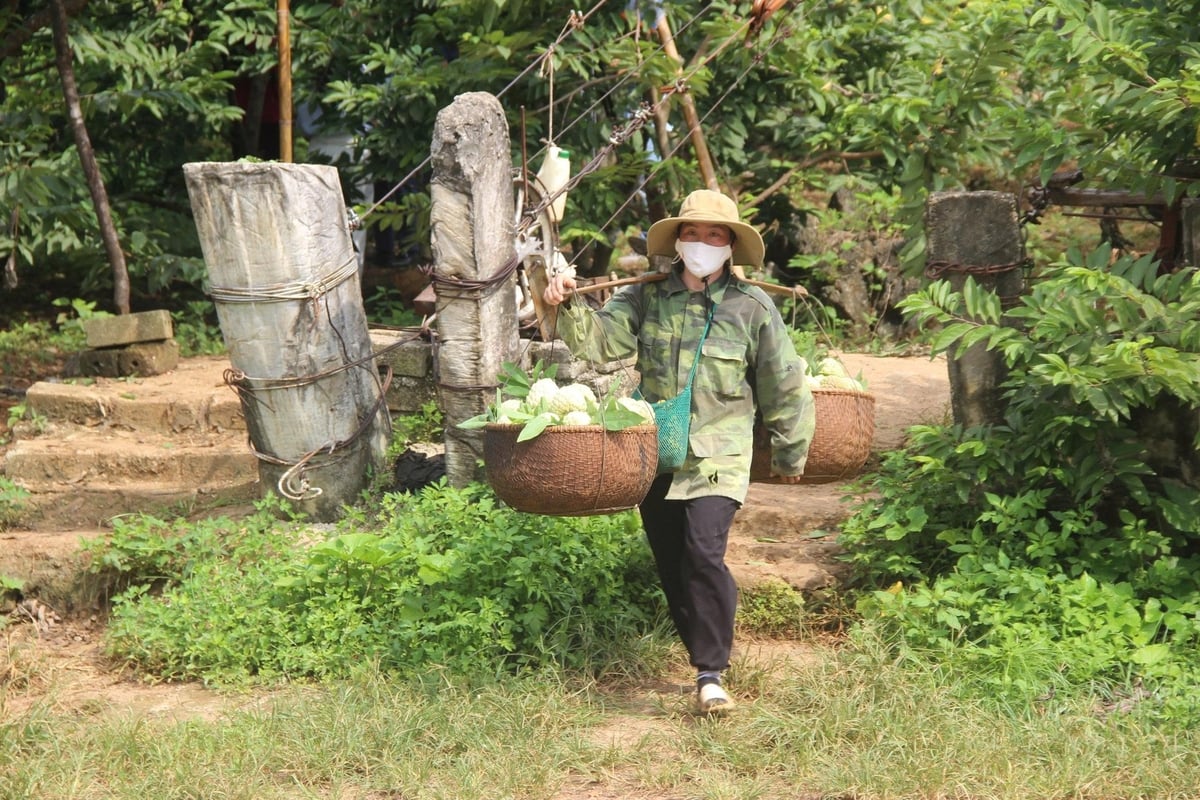 Cây na đã giúp nhiều hộ dân thoát nghèo, vươn lên làm giàu. Ảnh: Nguyễn Thành. Cây na đã giúp nhiều hộ dân thoát nghèo, vươn lên làm giàu. Ảnh: Nguyễn Thành.