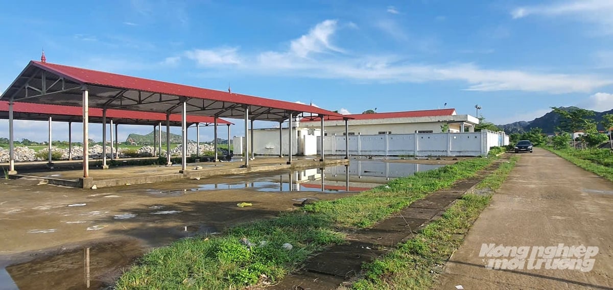 Khu tái định cư cho các hộ dân vùng trũng thôn Nhân Phẩm, xã Yên Mạc, tỉnh Ninh Bình đã cơ bản hoàn thành về hạ tầng. Ảnh: Xuân Hào. Khu tái định cư cho các hộ dân vùng trũng thôn Nhân Phẩm, xã Yên Mạc, tỉnh Ninh Bình đã cơ bản hoàn thành về hạ tầng. Ảnh: Xuân Hào.