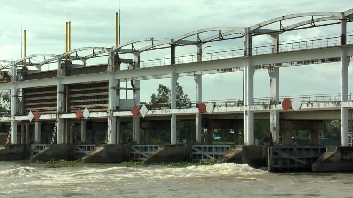 Lang The sluice in the new Vinh Long province is a structure combining a sluice and a traffic bridge, featuring 10 gates of 7.5 meters each. Photo: Irrigation CPO.