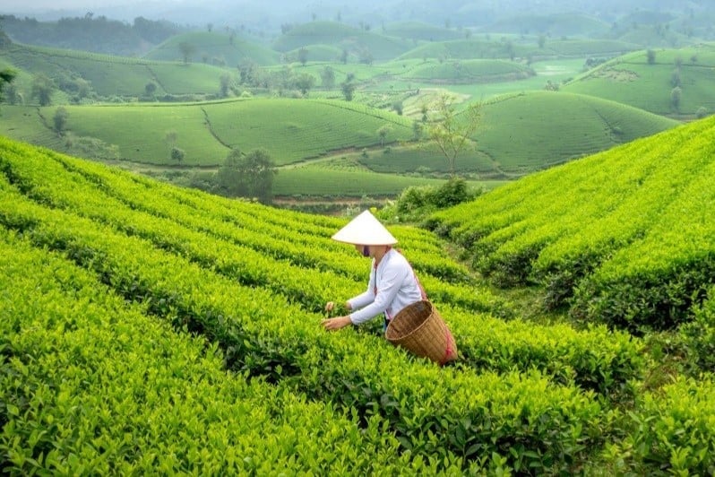 Nghị quyết 57 là nền tảng để phát huy lợi thế, tiềm năng từ khoa học công nghệ. Ảnh: Thanh Hậu.