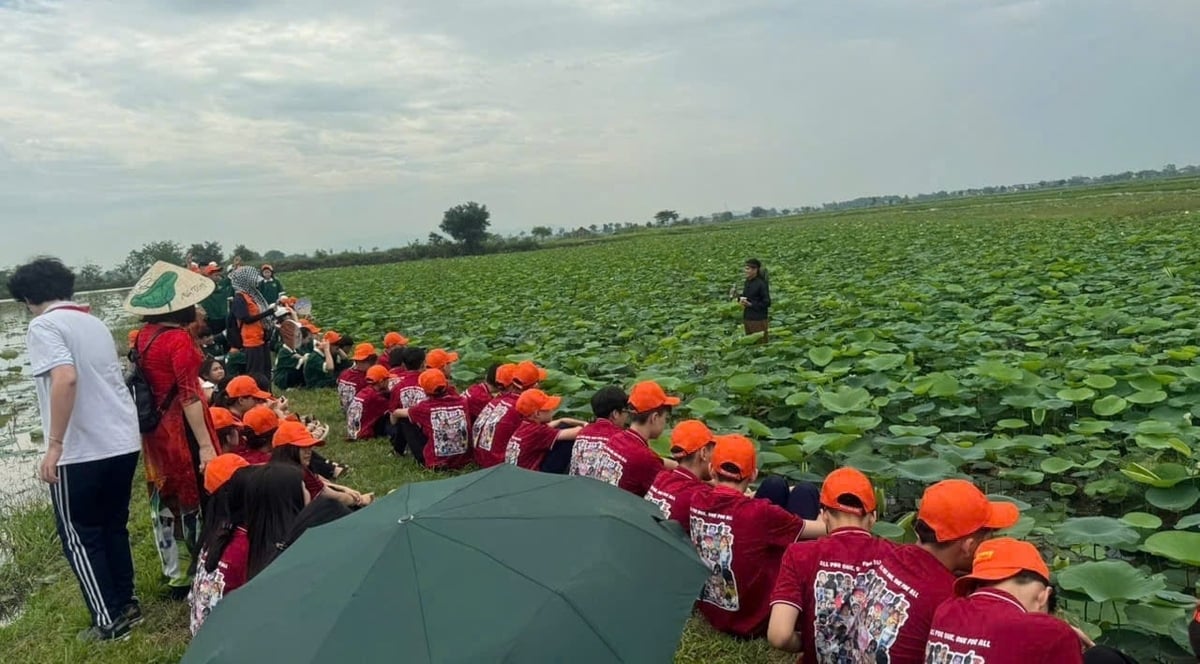 Du khách trải nghiệm thực tế tại hồ sen trên quê hương Bác Hồ. Ảnh: Kim Tiến.