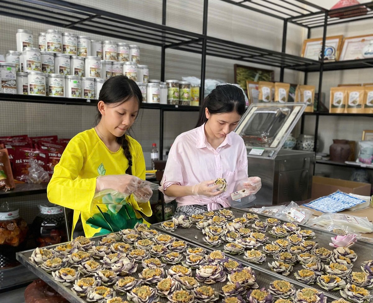 Từ cây sen chế biến thành rất nhiều sản phẩm có chất lượng cao. Ảnh: Kim Tiến.