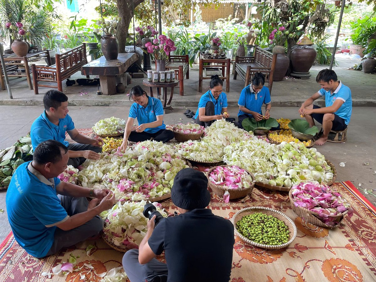 Hành trình 'sen quê Bác' là sự giao thoa giữa văn hóa và kinh tế, giữa giá trị truyền thống, nhân văn và tinh thần Việt. Ảnh: Kim Tiến.
