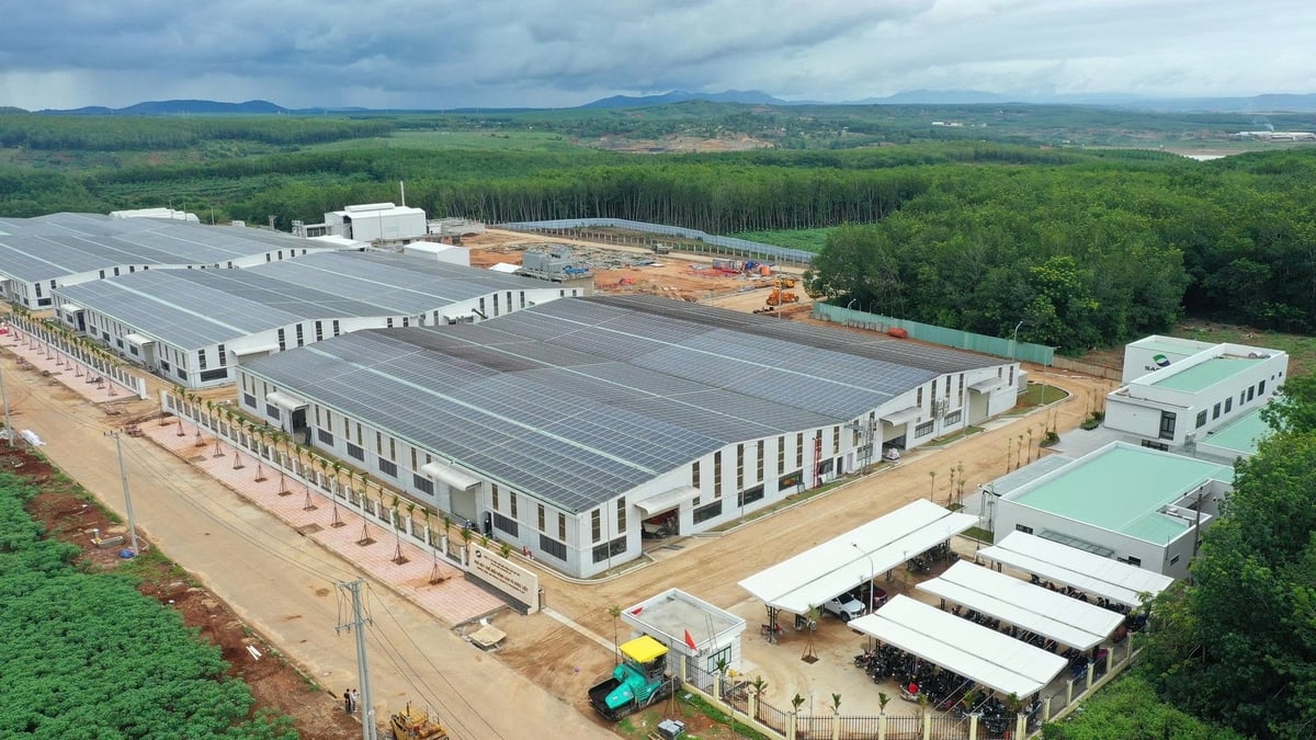 CTCP Chế biến Nông sản Sao Mai được xây dựng trên vùng đất màu mỡ Kon Tum (nay là tỉnh Quảng Ngãi) với sứ mệnh đưa tinh hoa nông sản Việt ra thế giới. Ảnh: PV.