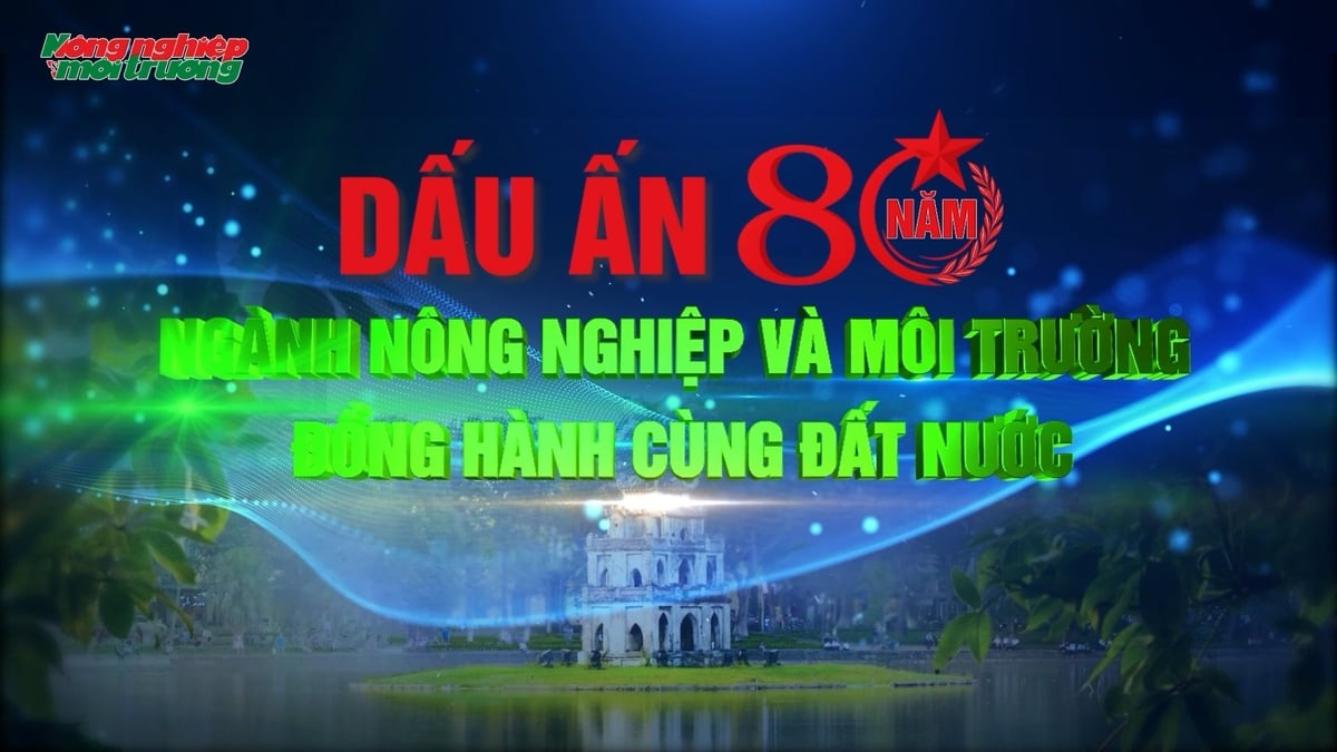 ANH