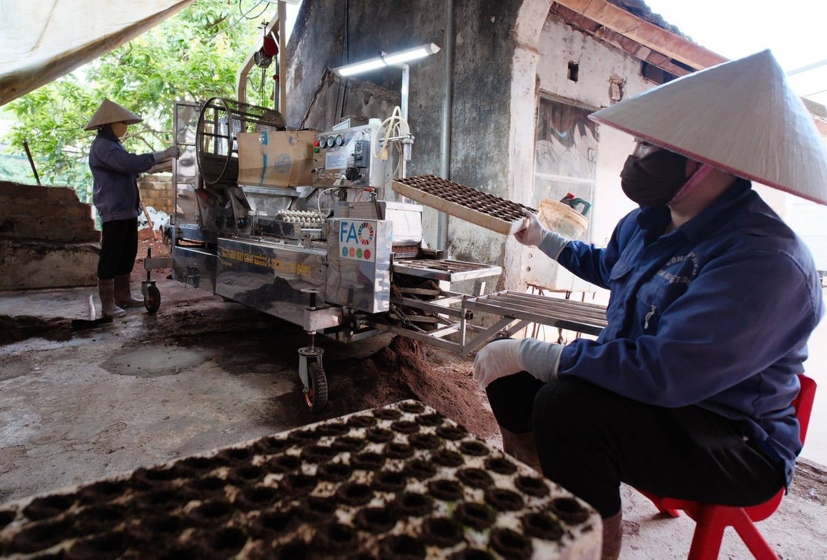 Hỗ trợ kỹ thuật thông qua FAO đã giúp nhiều nông hộ trên cả nước chuyên nghiệp hóa quy trình sản xuất, nâng cao giá trị gia tăng của sản phẩm. Ảnh: Quỳnh Chi. Hỗ trợ kỹ thuật thông qua FAO đã giúp nhiều nông hộ trên cả nước chuyên nghiệp hóa quy trình sản xuất, nâng cao giá trị gia tăng của sản phẩm. Ảnh: Quỳnh Chi.