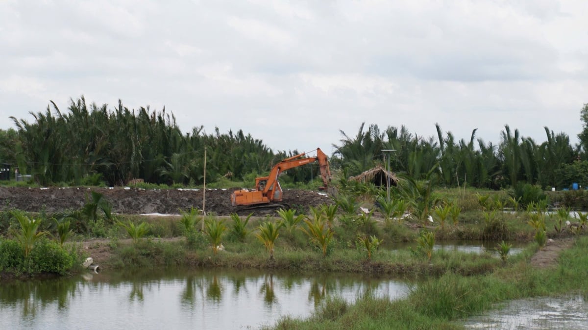 Nhiều người dân địa phương phát triển mô hình nuôi vịt – cua kết hợp. Ảnh: Trần Trung. Nhiều người dân địa phương phát triển mô hình nuôi vịt – cua kết hợp. Ảnh: Trần Trung.