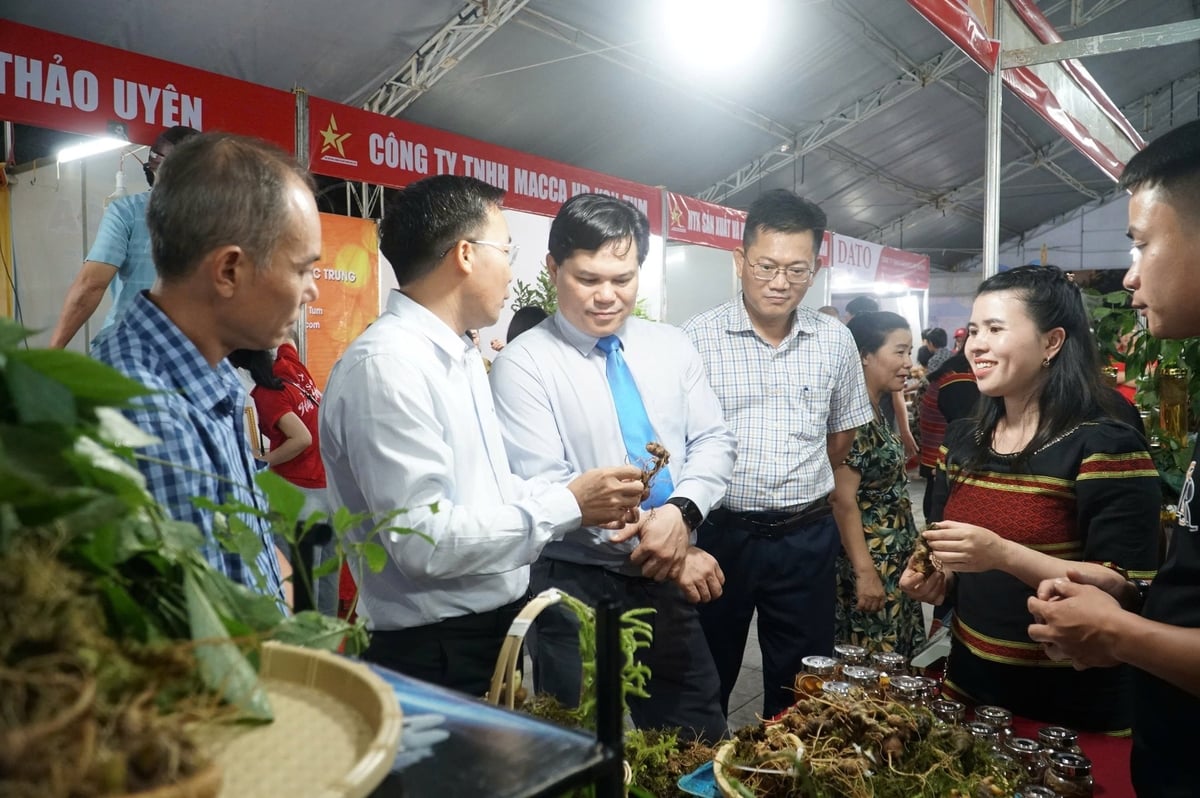 Phó Chủ tịch UBND tỉnh Trần Phước Hiền tham quan các gian hàng tại hội chợ. Ảnh: Võ Hà. Phó Chủ tịch UBND tỉnh Trần Phước Hiền tham quan các gian hàng tại hội chợ. Ảnh: Võ Hà.
