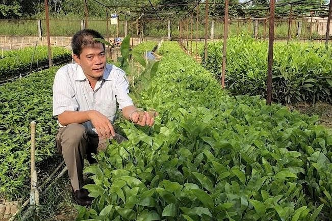 PGS.TS Phí Hồng Hải tại vườn giống cây lâm nghiệp. Ảnh: NVCC. PGS.TS Phí Hồng Hải tại vườn giống cây lâm nghiệp. Ảnh: NVCC.
