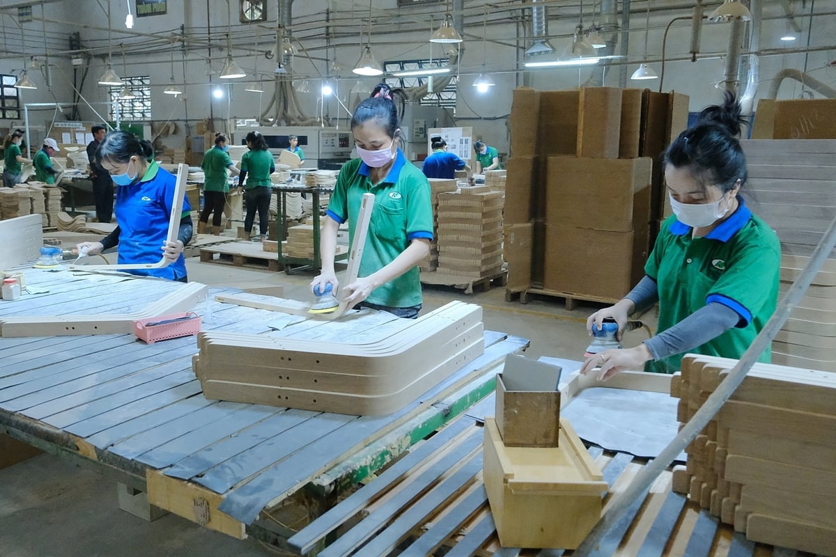 Ngành chế biến gỗ hiện đã tự chủ được nguyên liệu nhờ phát triển rừng trồng. Ảnh: Bảo Thắng. Ngành chế biến gỗ hiện đã tự chủ được nguyên liệu nhờ phát triển rừng trồng. Ảnh: Bảo Thắng.