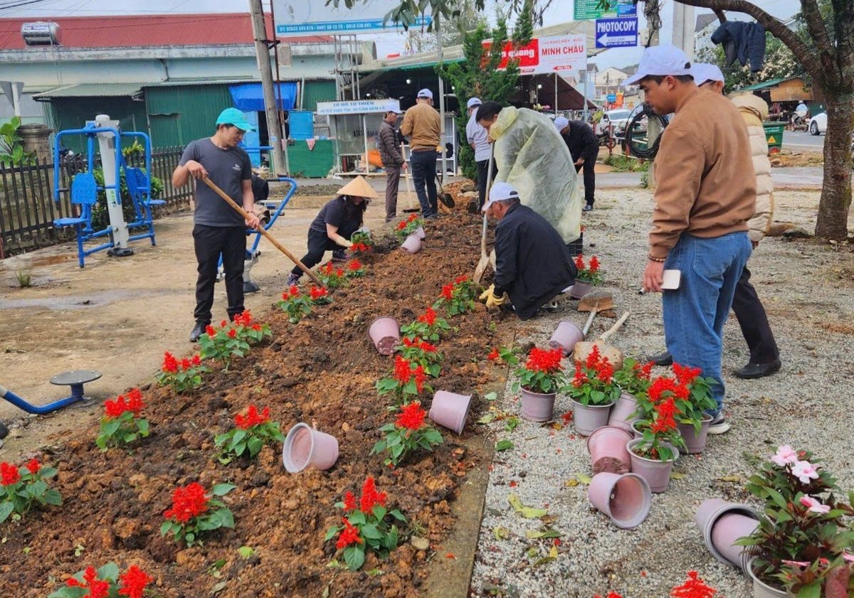 Người dân Lâm Đồng trồng hoa, tạo cảnh quan đô thị. Ảnh: Phạm Hoài.