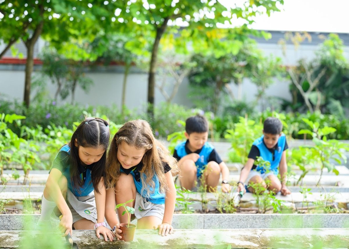 Với chủ đề 'Trường học không rác thải nhựa', Giải thưởng Trường học Sinh thái ASEAN Việt Nam năm 2025 tôn vinh các sáng kiến xanh trong học đường. Ảnh minh họa. Với chủ đề 'Trường học không rác thải nhựa', Giải thưởng Trường học Sinh thái ASEAN Việt Nam năm 2025 tôn vinh các sáng kiến xanh trong học đường. Ảnh minh họa.