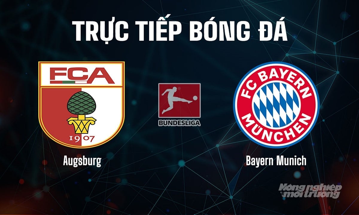 Trực tiếp bóng đá Bundesliga 2025/26 giữa Augsburg vs Bayern Munich hôm nay 30/8/2025