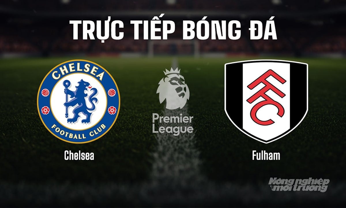 Trực tiếp bóng đá Ngoại hạng Anh giữa Chelsea vs Fulham hôm nay 30/8/2025 Trực tiếp bóng đá Ngoại hạng Anh giữa Chelsea vs Fulham hôm nay 30/8/2025