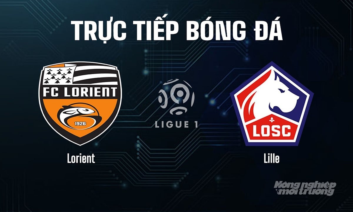 Trực tiếp bóng đá Ligue 1 (VĐQG Pháp) 2025/26 giữa Lorient vs Lille hôm nay 30/8/2025 Trực tiếp bóng đá Ligue 1 (VĐQG Pháp) 2025/26 giữa Lorient vs Lille hôm nay 30/8/2025
