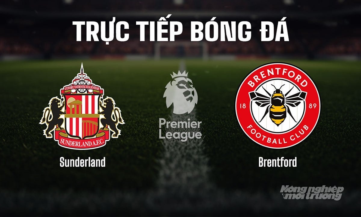 Trực tiếp bóng đá Ngoại hạng Anh giữa Sunderland vs Brentford hôm nay 30/8/2025 Trực tiếp bóng đá Ngoại hạng Anh giữa Sunderland vs Brentford hôm nay 30/8/2025
