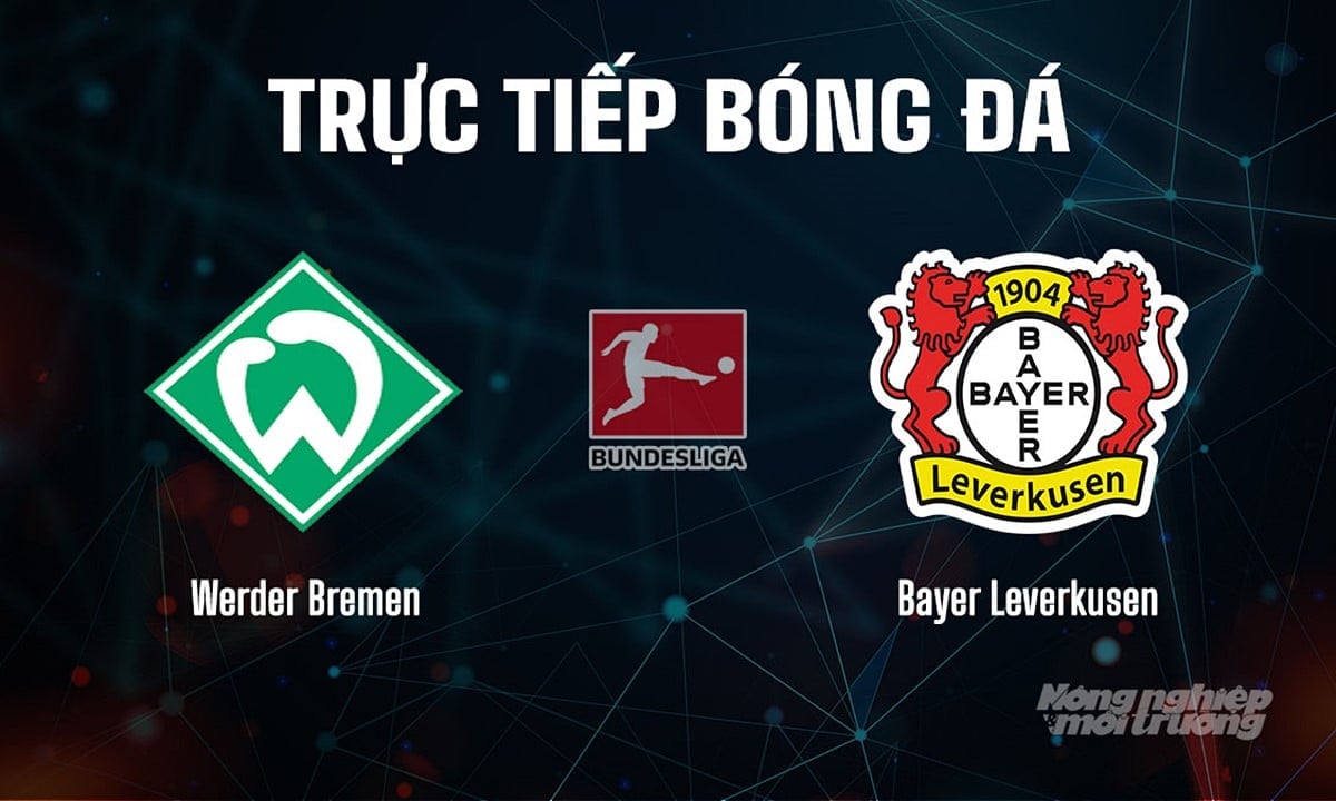 Trực tiếp bóng đá Bundesliga 2025/26 giữa Werder Bremen vs Bayer Leverkusen hôm nay 30/8/2025 Trực tiếp bóng đá Bundesliga 2025/26 giữa Werder Bremen vs Bayer Leverkusen hôm nay 30/8/2025