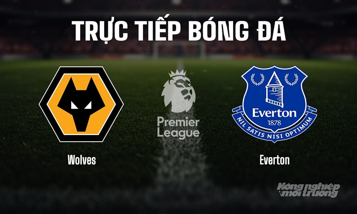Trực tiếp bóng đá Ngoại hạng Anh giữa Wolves vs Everton hôm nay 30/8/2025 Trực tiếp bóng đá Ngoại hạng Anh giữa Wolves vs Everton hôm nay 30/8/2025
