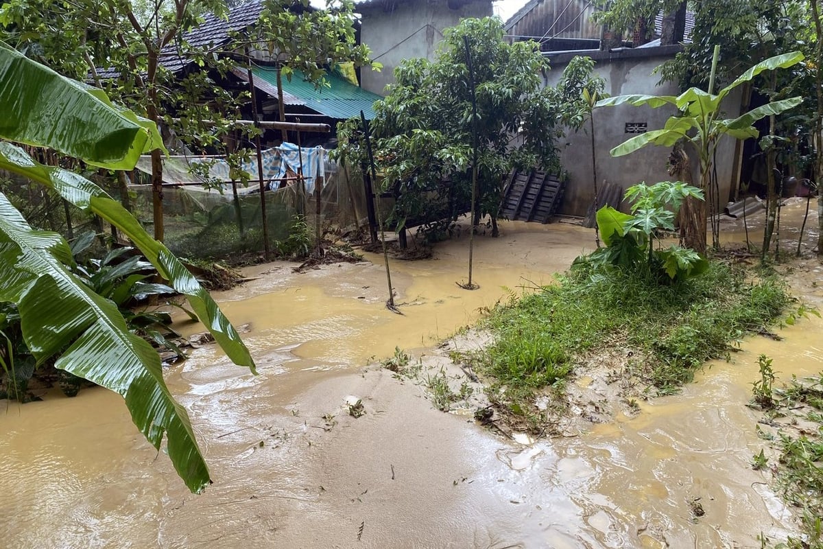 Bùn đất tràn vào vườn nhà dân. Ảnh: Hưng Phúc. Bùn đất tràn vào vườn nhà dân. Ảnh: Hưng Phúc.