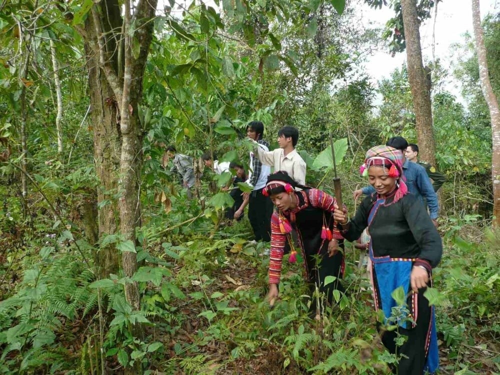 Local communities patrol and protect forests. Photo: Lai Chau Forest Protection and Development Fund.